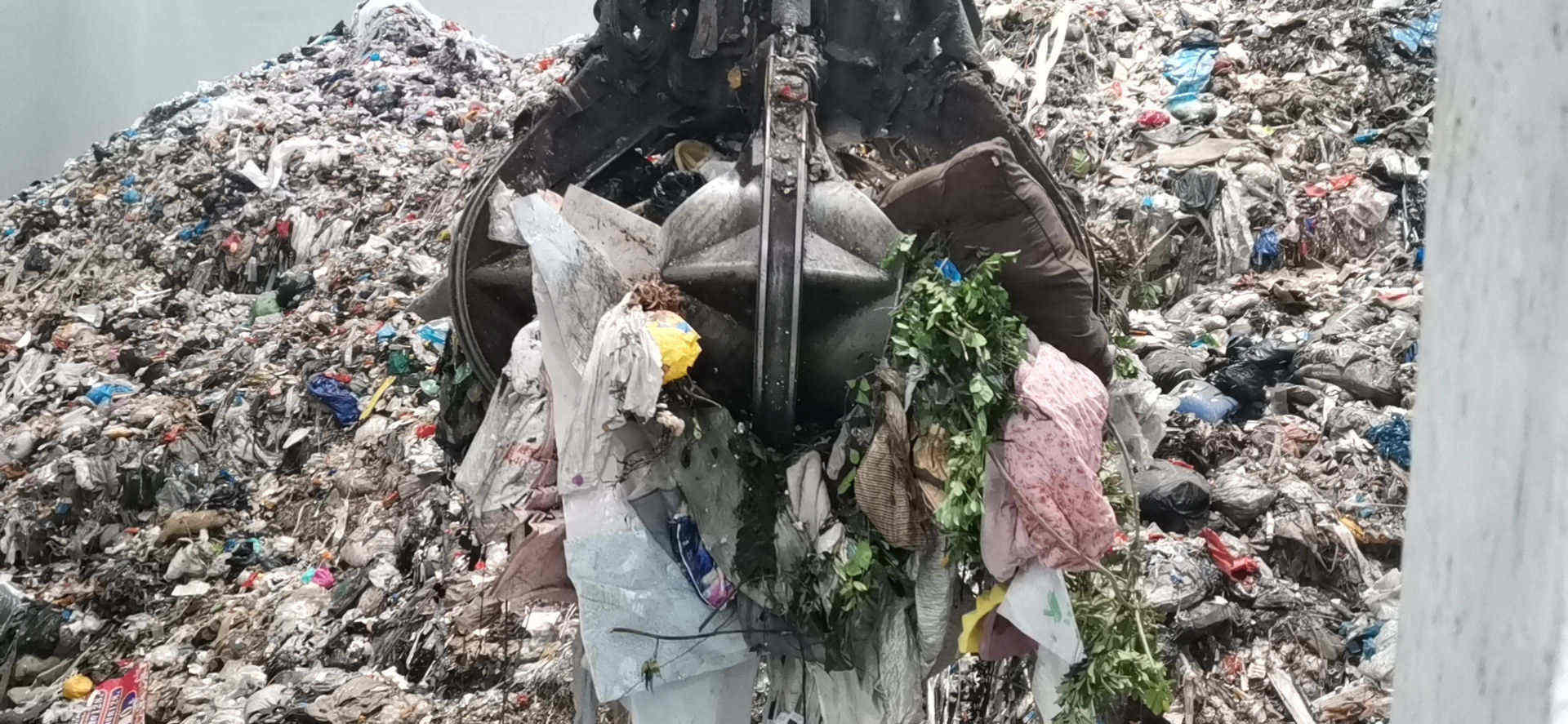 I(y)̏UN